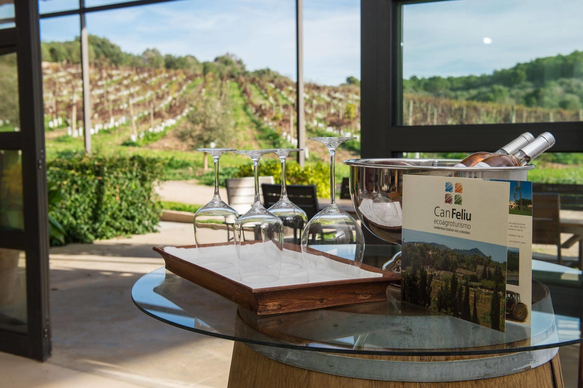 Hotel Rural Feliu
