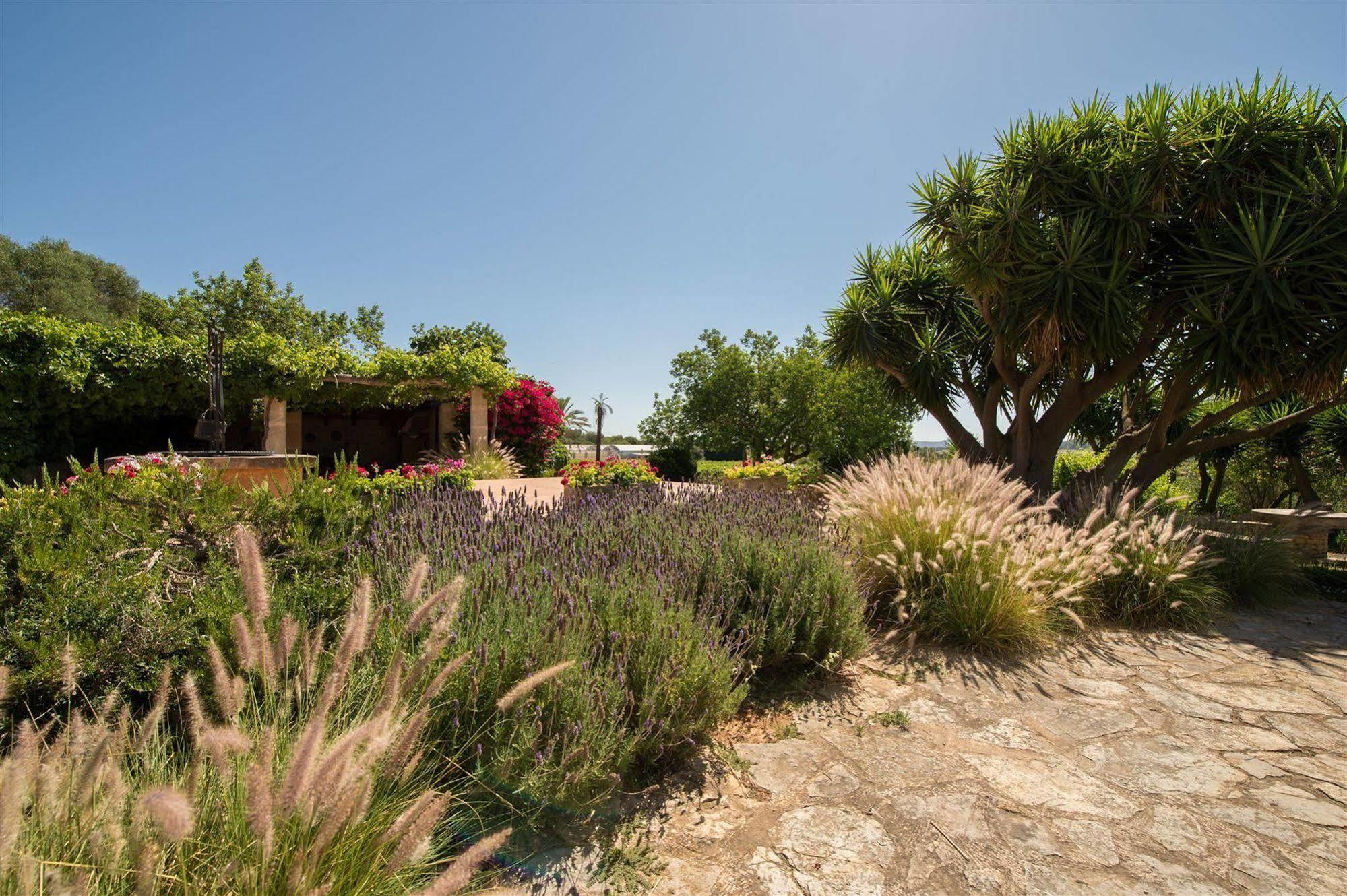 Ecoagroturismo Feliu
