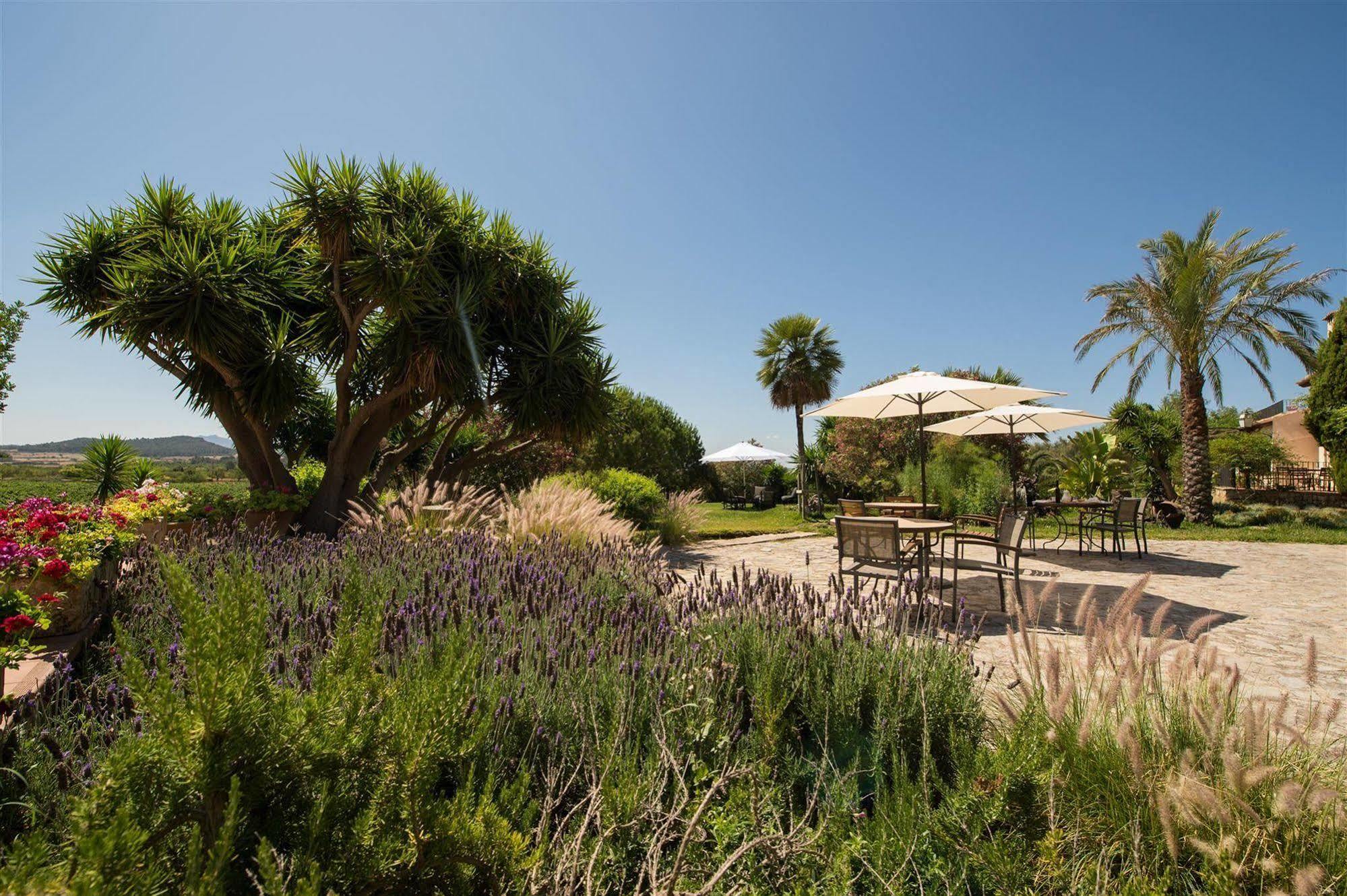 Ecoagroturismo Feliu Hotel