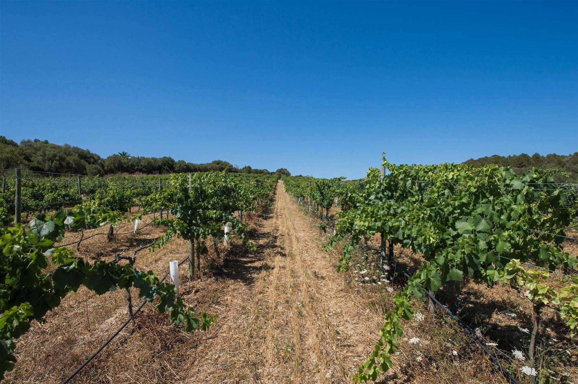 Ecoagroturismo Feliu